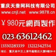 供應(yīng)九龍坡網(wǎng)站建設(shè)公司及軟件開發(fā)服務(wù)，助力燈具照明企業(yè)拓展市場