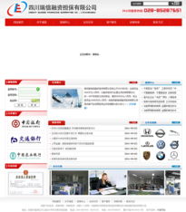瑞信融資擔(dān)保與卡瑞網(wǎng)絡(luò)攜手打造精品網(wǎng)站建設(shè)案例展示