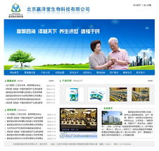 網頁設計與網站建設 從視覺美感到技術實現的全方位解析